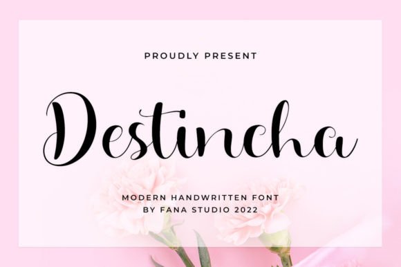 Destincha: A Script Amp That Earns Its Space