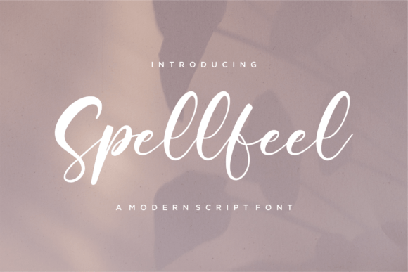 Spellfeel: A Modern Script Font That Elevates Your Brand