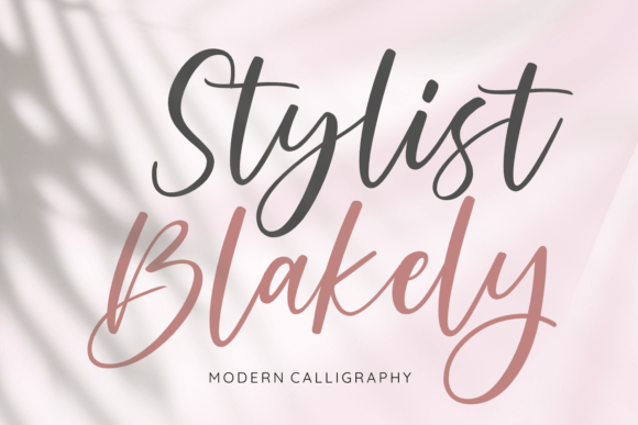 Stylist Blakely: A Modern Script Font That Elevates Your Brand