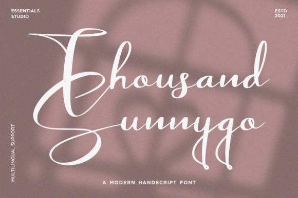 Thousand Sunnygo: A Handwritten Font That Converts
